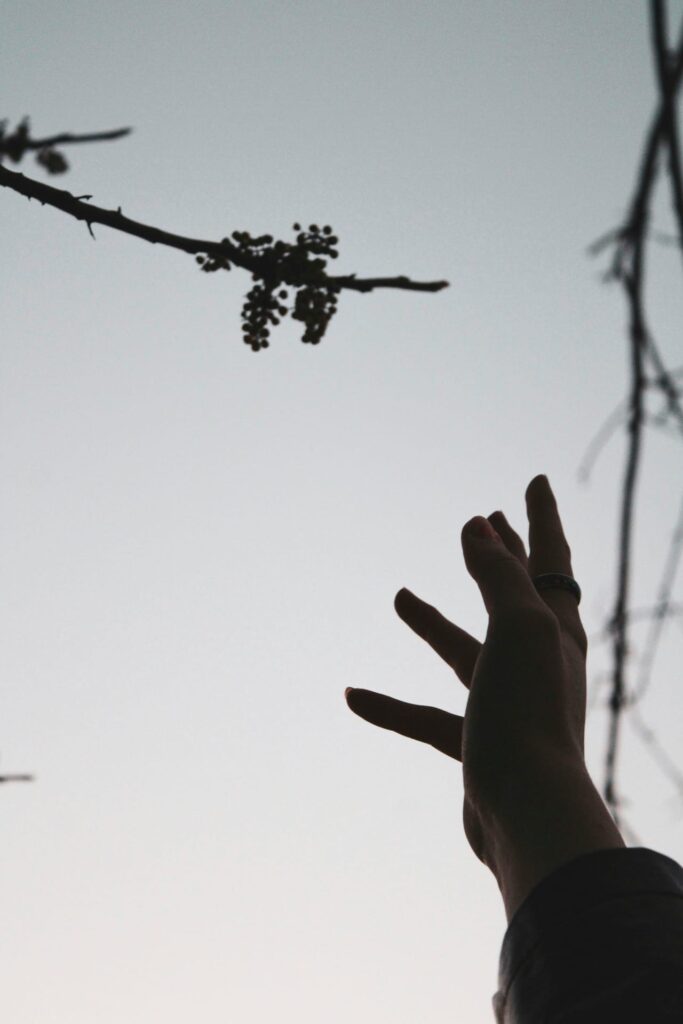 A person's hand reaching up into the sky