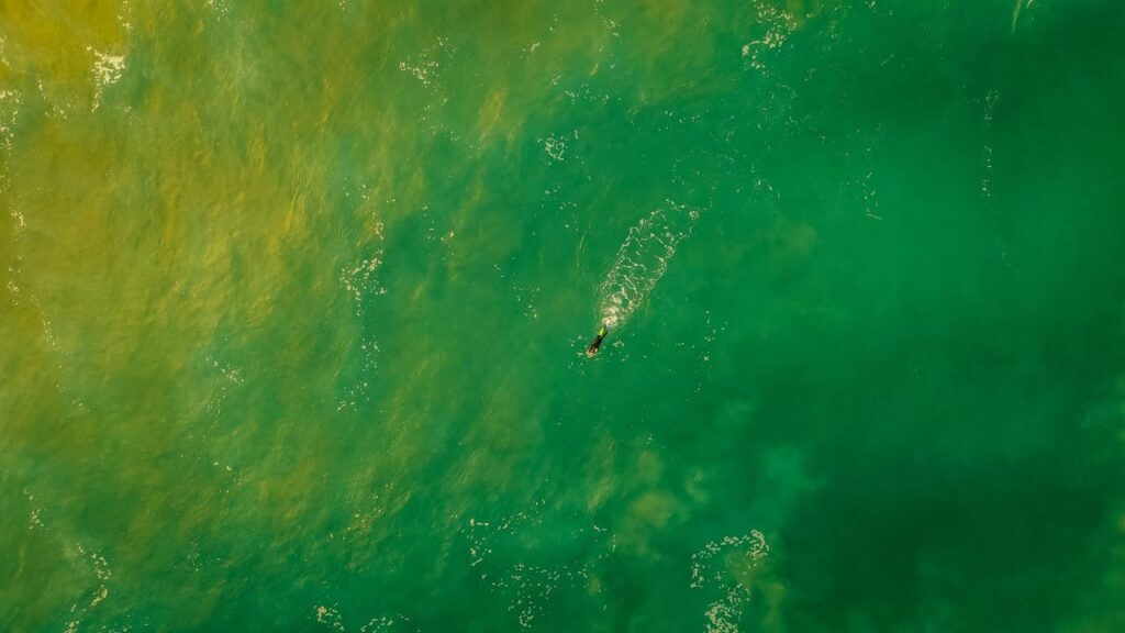 A person riding a surfboard on a wave in the ocean