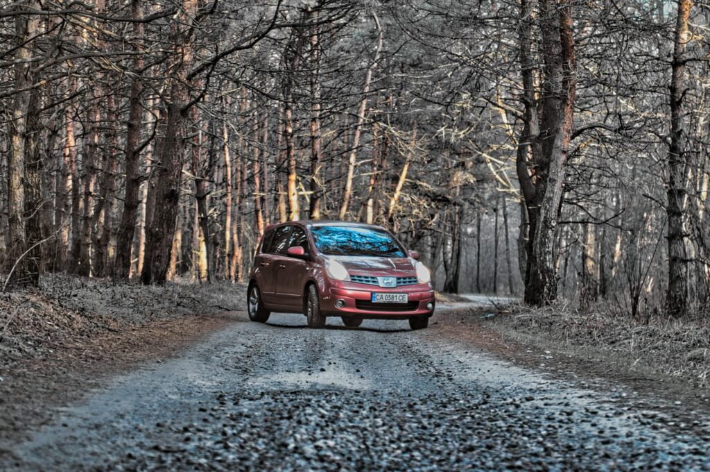 Red car on road between trees during daytime